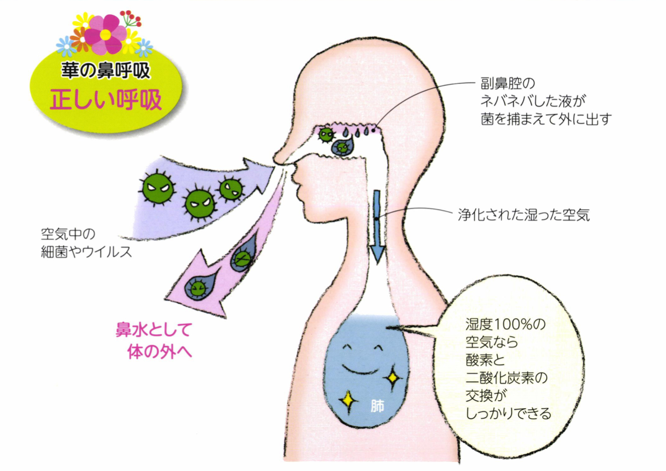 口呼吸は風邪を引き起こしやすい