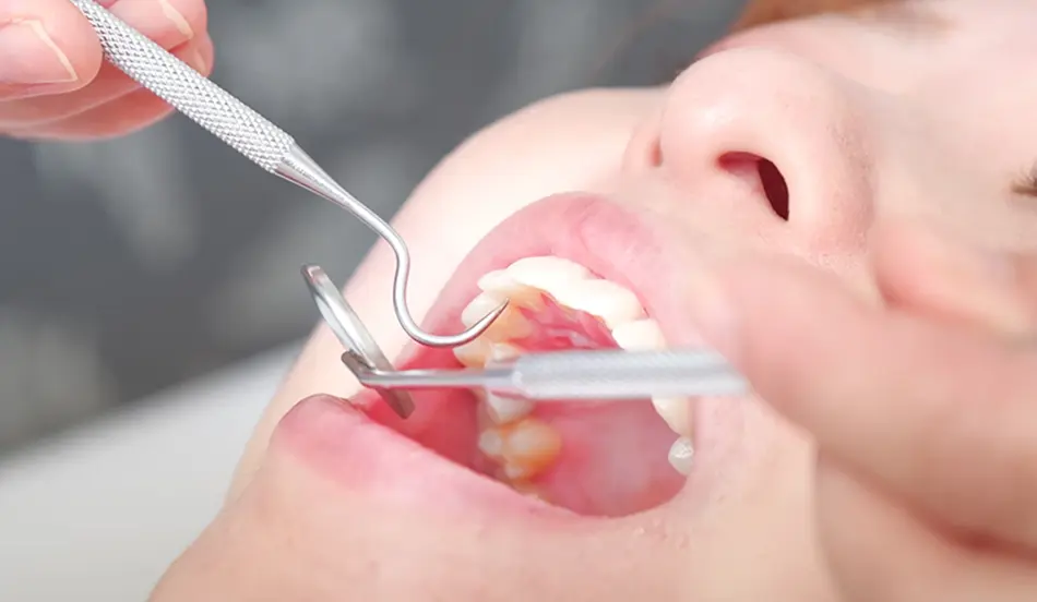 メンテナンスも容易