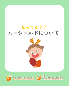 知ってる？ムーシールドについて