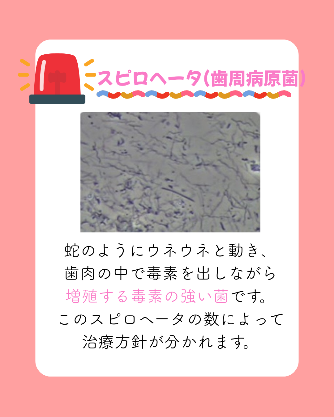 顕微鏡検査って？？？🔬
