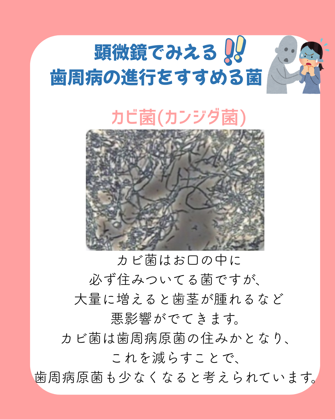 顕微鏡検査って？？？🔬
